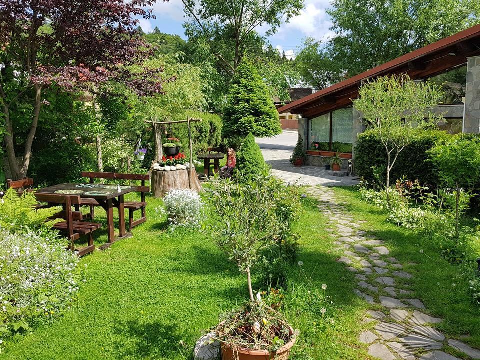 Pensiunea Liziera Buşteni Exterior foto