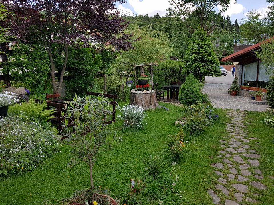 Pensiunea Liziera Buşteni Exterior foto
