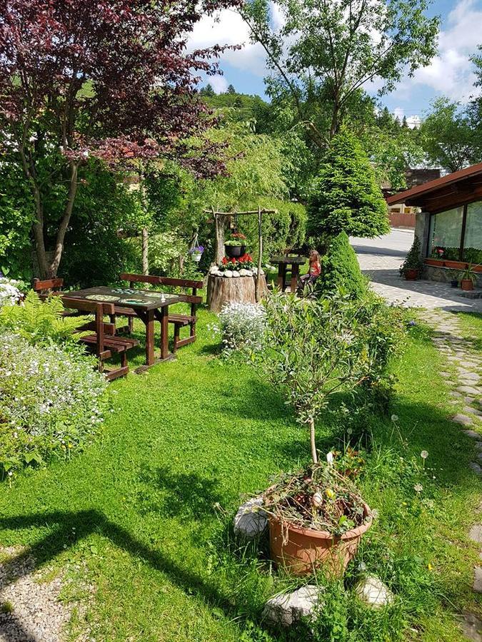 Pensiunea Liziera Buşteni Exterior foto