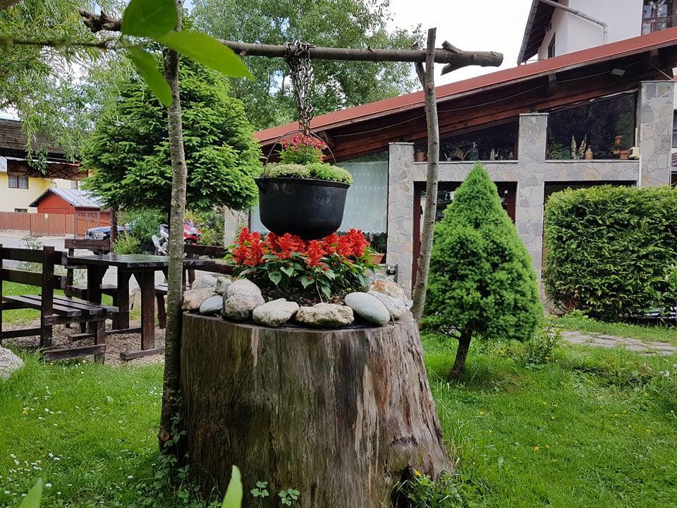 Pensiunea Liziera Buşteni Exterior foto
